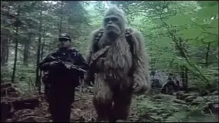 An FBI Interrogation of Bigfoot Exposed a Truth About Humanity We Weren&rsquo;t Ready For - Sasquatch Disc
