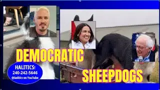 Are Bernie & AOC's Progressive Critics 