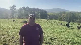 Fall Calving and Why - Episode 158