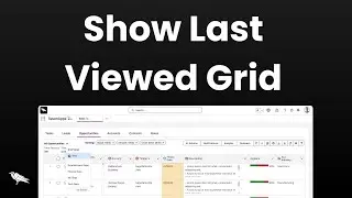 How to Show Last Viewed List Grid View in Salesforce