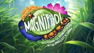 Magnified VBS 2025!