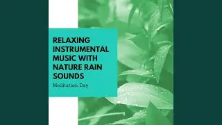 Nature Rain Sounds - Beautiful Raining Morning