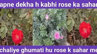 चलिए करवाते हैं आपको गुलाब के शहर की सैर 