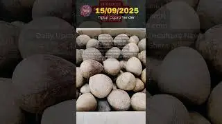 Tiptur Kobbari Price Today 15/09/2025 | Copra Tender & Arecanut Update | Fayaz Arecanut #shorts