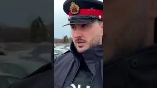 Around 80 Tesla vehicles Vandalized in Hamilton #automobile #tesla#elonkmusk