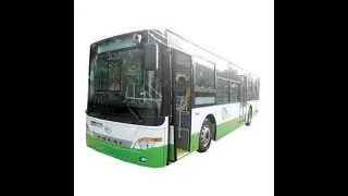 Political parties arranged transport to deliver voters to the polling station
