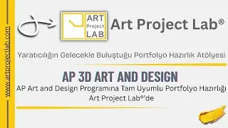 AP 3D Art and Design Selin G.