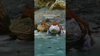 как РАЗМНОЖАТЬ ЖАБУ в игре ARK ASCENDED #arkгайд #arksurvivalascended #arksurvival #ark #arktips