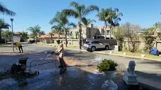 Living Link Realty Property Group - Professional Cleaning Services offered to you.