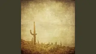 Desert Dogs