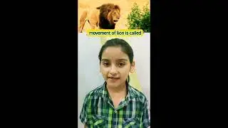 🐾 Learn Animal Movements in English with Honey! 🦒 🐇 🐸 🐘 | Fun Vocabulary Lesson #youtube#videos 