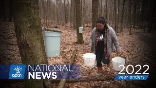 Ontario: Indigenous stories from 2022 | APTN News