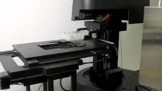 Well Plate Loader System from Prior Scientific