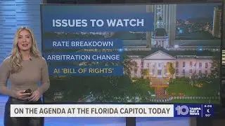 Notable agenda items for Florida legislators' agenda for 1/21