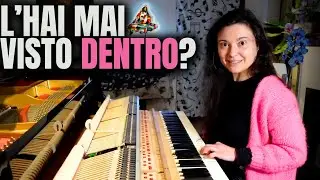 COME È FATTO IL PIANOFORTE: breve viaggio al suo interno!