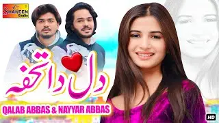 Dil Da Tohfa | Qalab Abbas & Nayyar Abbas | Official Music Video | Shaheen Studio