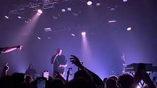 Mareux - The Perfect Girl (Live at TivoliVredenburg)