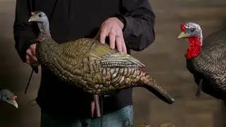 Higdon Outdoors - Upright Hen Turkey Decoy