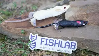 FishLab Tackle 2022 ICAST line of lures including some that are in the ICAST New Product Showcase