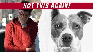 Why You Can't Actually 'Show Dominance' to Your Dog 🐶❌