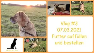 Vlog #3  - Futter auffüllen und bestellen I 07.03.2021
