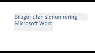 Microsoft Word:  Bilagor utan sidnumrering