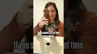SHUNGITE Phone Holder |The Most Underrated Protection Crystal You NEED | EMF Blocker & Energy Shield