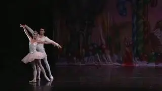 Ventura County Ballet Company Presents The Nutcracker Grand Pas de Dux Scene