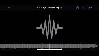new money-li rob (unreleased)