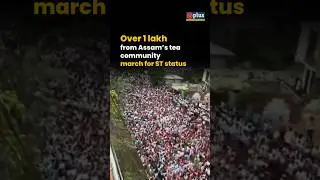 Massive protest in Assam: 1 Lakh Tea Tribe members march for ST Status and Better Wages | GPlus