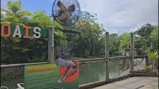 Lugar tur&iacute;stico de Miami florida de 🐊