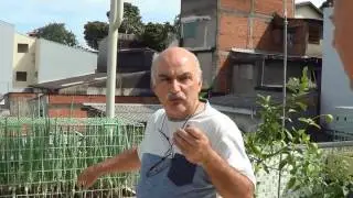 440 ) – VISITA A FAZENDINHA DA CREUSA EM SANTO ANDRE – SP