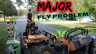 SCAG V Rides all day PLUS new trial MOWER BLADES