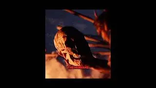 The deadliest animals to ever live on Earth #prehistoric #earlyhumans