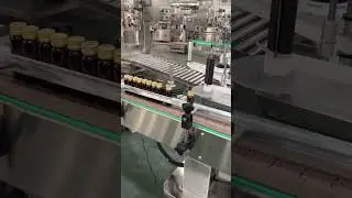 How does an automated bottling line work?