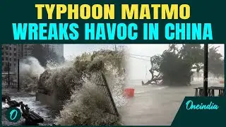 Typhoon Matmo HITS China | 350,000 people evacuated, transport, businesses shut | Top-level Alert