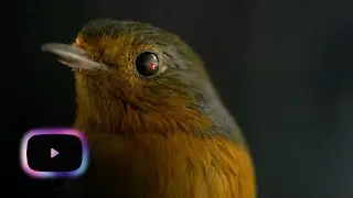 The Secrets of Quantum Physics | Let There Be Life | Series 1 Episode 2