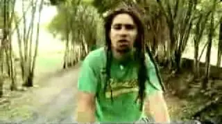 ESTADO INDEPENDIENTE SATIVA REGGAE