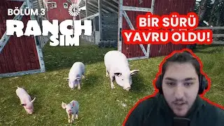 YAVRU DOMUZLARIMIZ OLDU TAVUKLARI KESTİK ! RANCH SİMULATOR (3. BÖLÜM)
