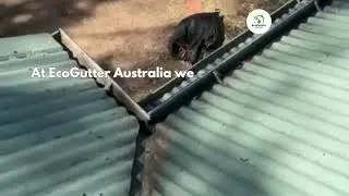 EcoGutter Australia Cleaning Gutter Service