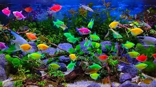 🌊 4K Aquarium Relaxation for Deep Sleep | Calming Fish & Natural Water Sounds All Night