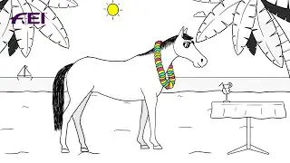 Have you heard about Detox for horses?  | Tips by Cavalor