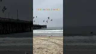 100 Dates Series Ep. 1 - Solo Beach Date