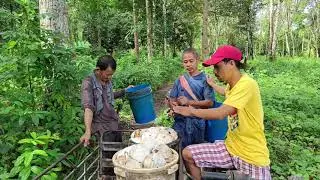 WHITE GOLD NG MINDANAO  (CUP LUMP RUBBER) Plant Collection PARA MA DELIVER