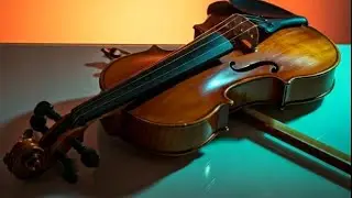 Najib b official, Music channel.2026(live)
