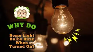 Why Do Some Light Bulbs Buzz When Turned On? The Hum Behind the Glow