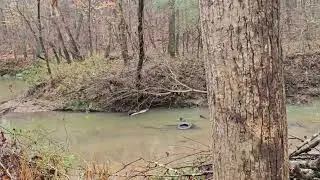 Daily VLOG Day 4 - Walking by the Creek after some rain
