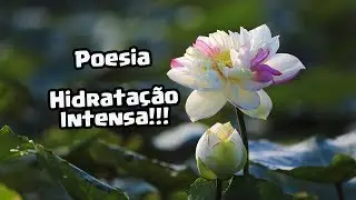 Poesia - Hidrata&ccedil;&atilde;o Intensa #15 - Mauro Bonfim