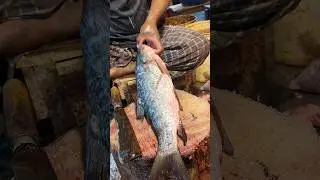Wow!! Big Giant Rohu: Fish Cleaning & Cutting in Village Market #shorts