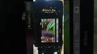 Mesmerizing Nature Shots on Nikon D7500 📷  # nikond7500 #nikondslr